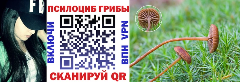 Галлюциногенные грибы ЛСД  Новомичуринск 