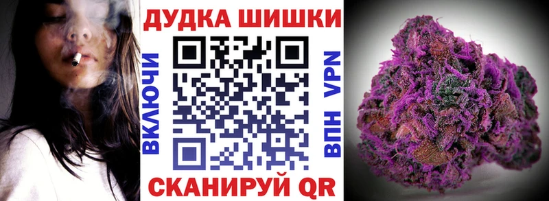 Бошки Шишки семена  купить наркоту  Новомичуринск 